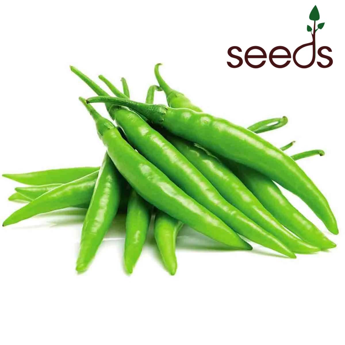 Chilli Hot - 50 Seeds