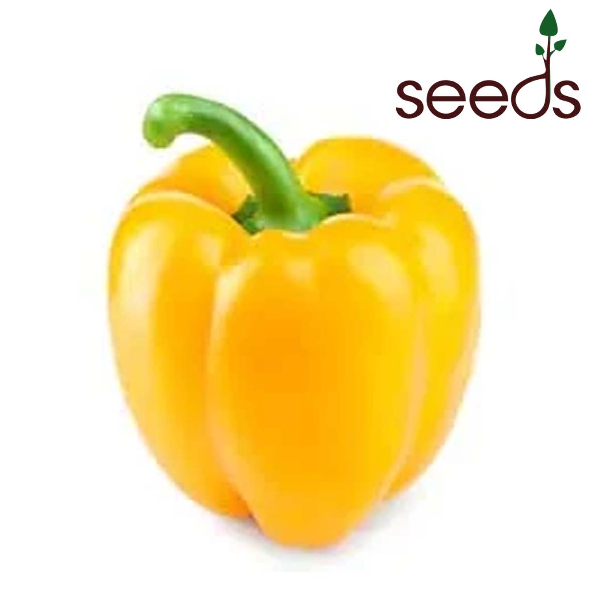 Capsicum Yellow- 30 Seeds