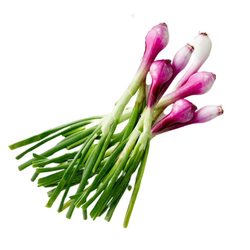 Spring Onion- 100 Seeds
