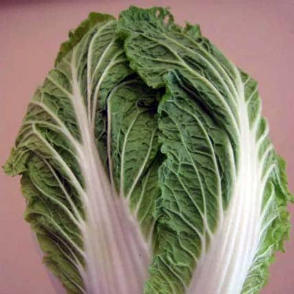 Chinese Cabbage- 50 Seeds