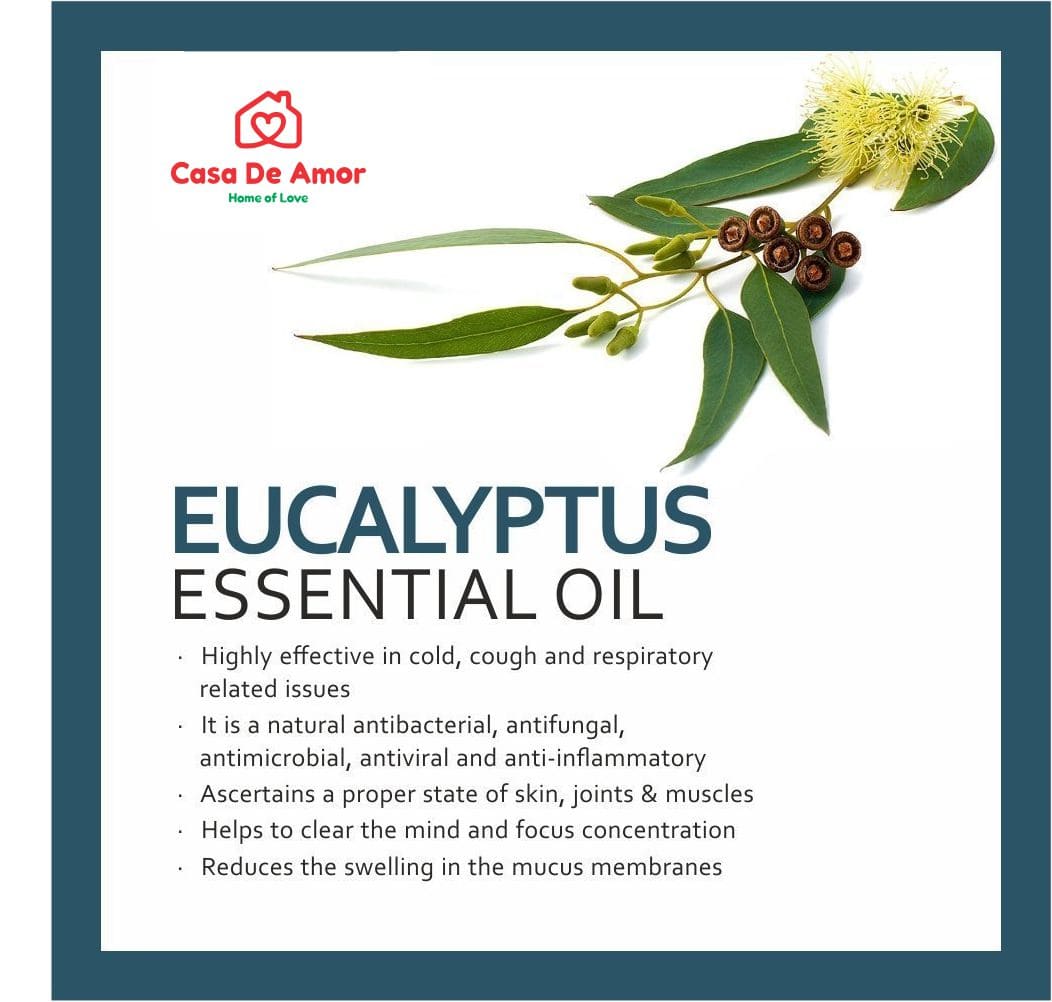 Casa De Amor 100% Pure, Natural And Undiluted Eucalyptus Essential Oil (15ml)