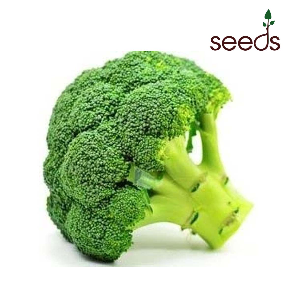 Broccoli - 100 Seeds