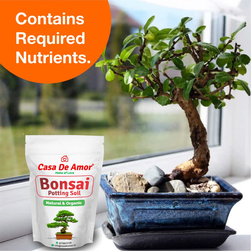 Casa De Amor Bonsai Potting Soil Organic Ready to Use