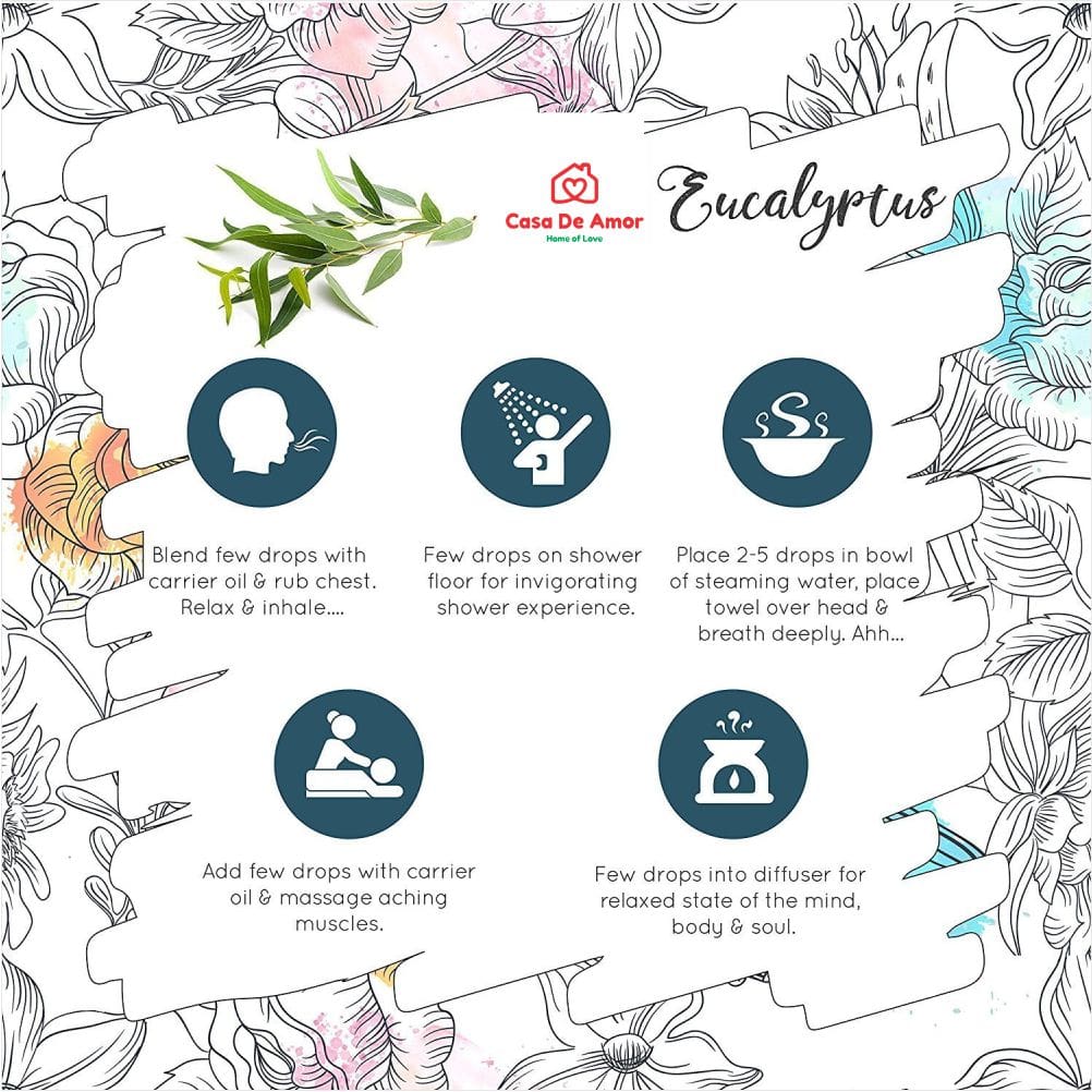 Casa De Amor Organic Nilgiris Eucalyptus Oil, Pure, Refreshing, and Versatile Essential Oil (15 ml)