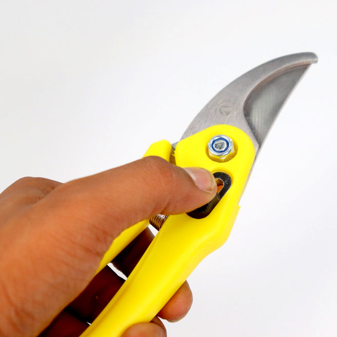 Casa De Amor Heavy Duty Plant Cutter For Home Garden Scissors - Set of 1 "The color may vary."