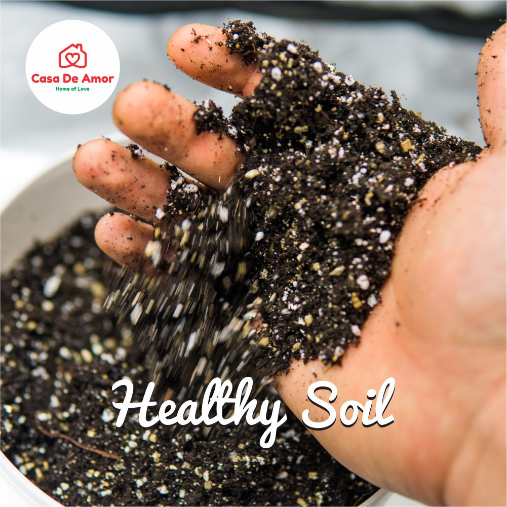 vermiculite for plants