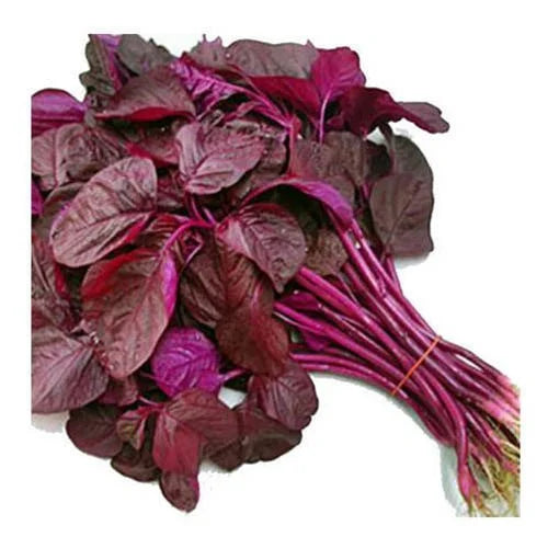 Herb Amaranthus Red- 50 Seeds