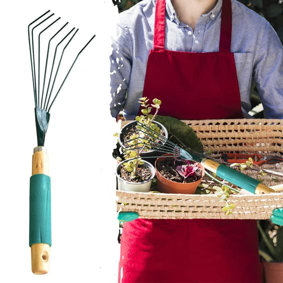 Casa De Amor Stainless Steel Tooth Garden Quick Clean Up of Lawn and Yard, Garden Leaf Rake