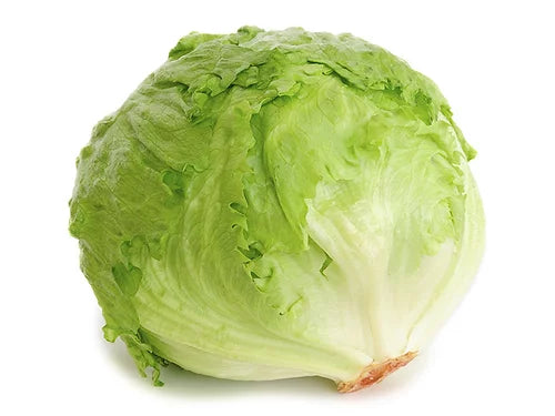 Lettuce Ice Burg- 100 Seeds