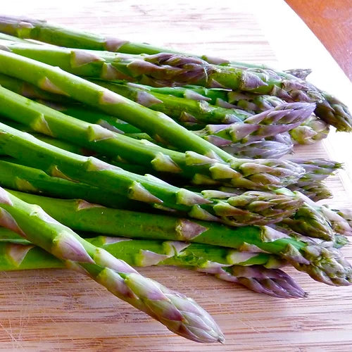 Herb Asparagus- 50 Seeds