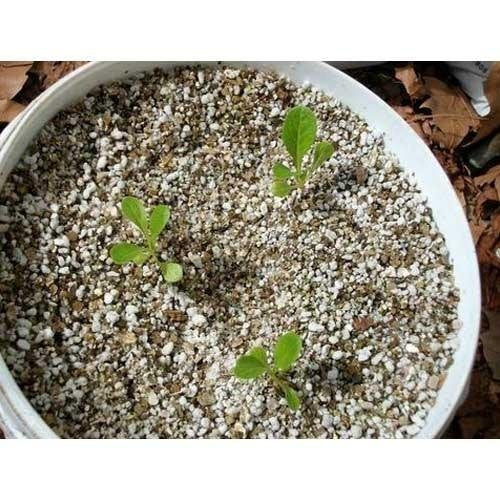 perlite for plants near me