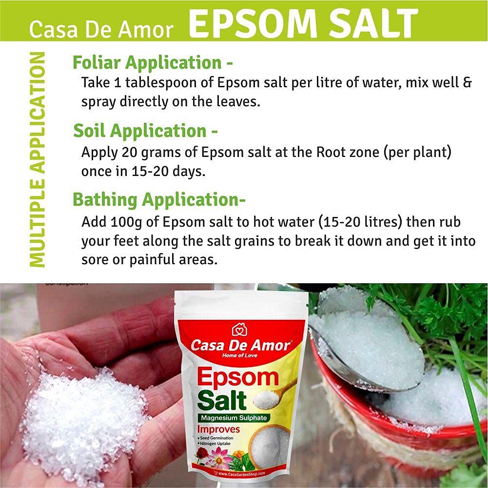 Casa De Amor Flowering Plants Fertilizer Combo- NPK 19 19 19 (200 gm) + Epsom Salt (Magnesium Sulphate- 200 gm) for Home, Balcony, Terrace Gardening (Total 400 gm)