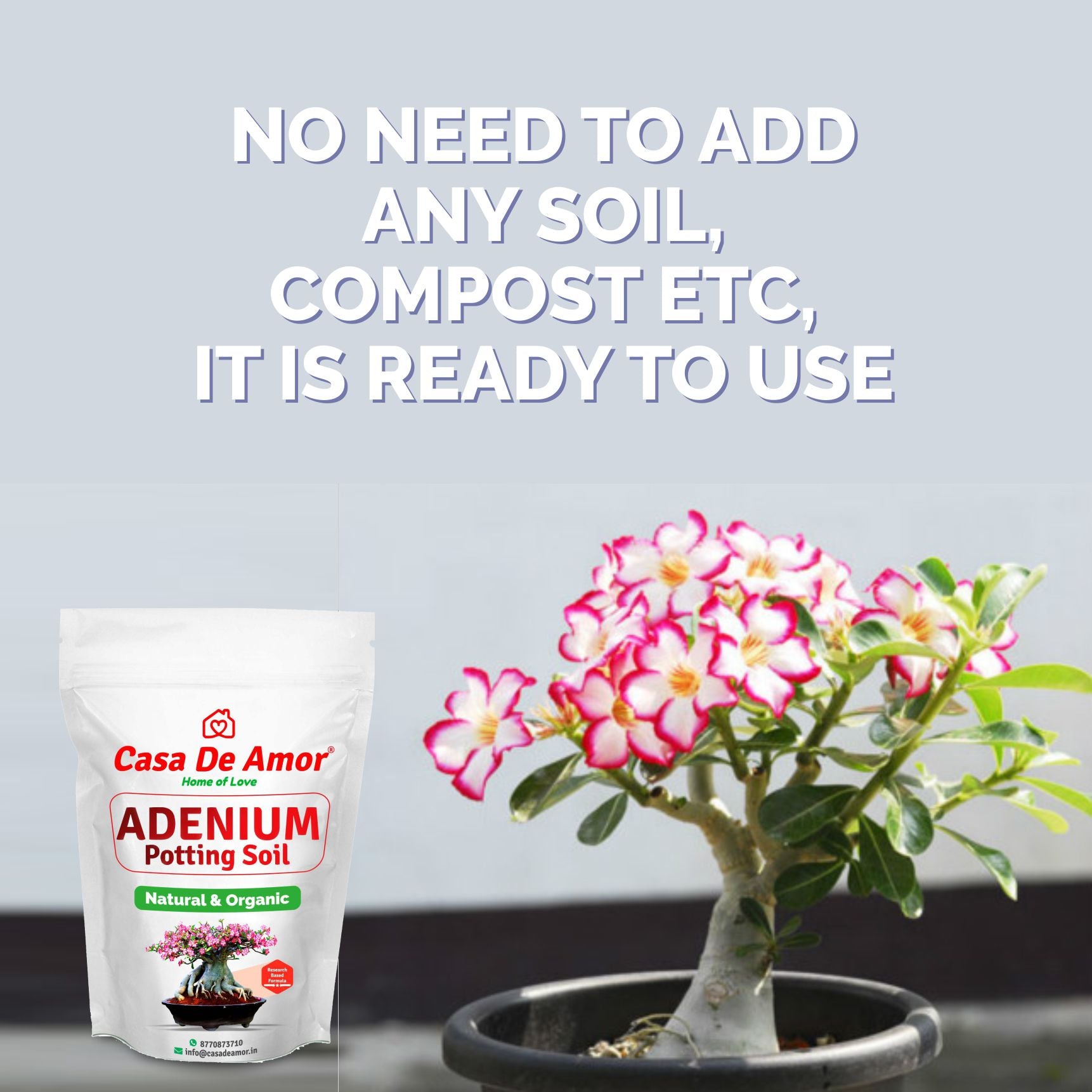 adenium soil mix in india