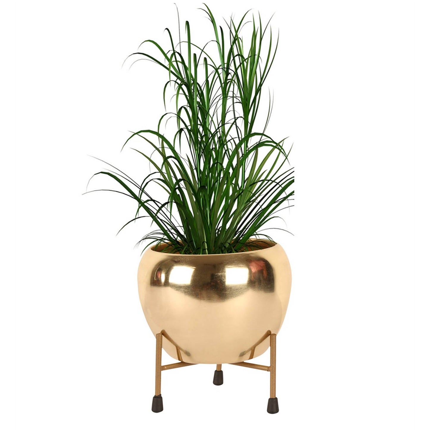 Casa De Amor Golden Iron Apple Pot Desk Pot with Stand- Set of 1