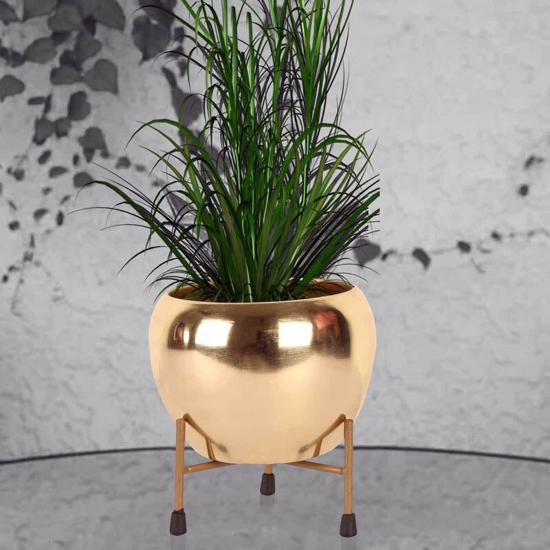 Casa De Amor Golden Iron Apple Pot Desk Pot with Stand- Set of 1