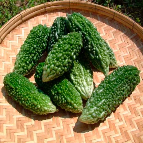 Bitter Gourd- 20 Seeds