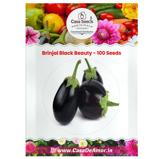 Brinjal Black Beauty - 100 Seeds