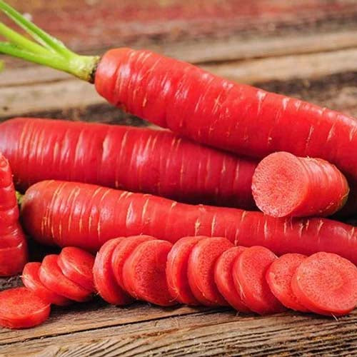 Carrot Seeds - Carrot Red Long (Seeds - 100)
