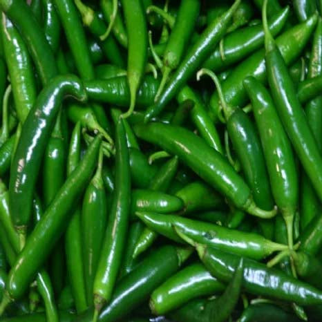 Chilli Hot - 50 Seeds