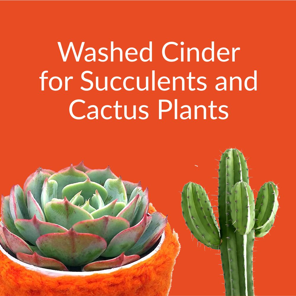 best cinder for gardening in india