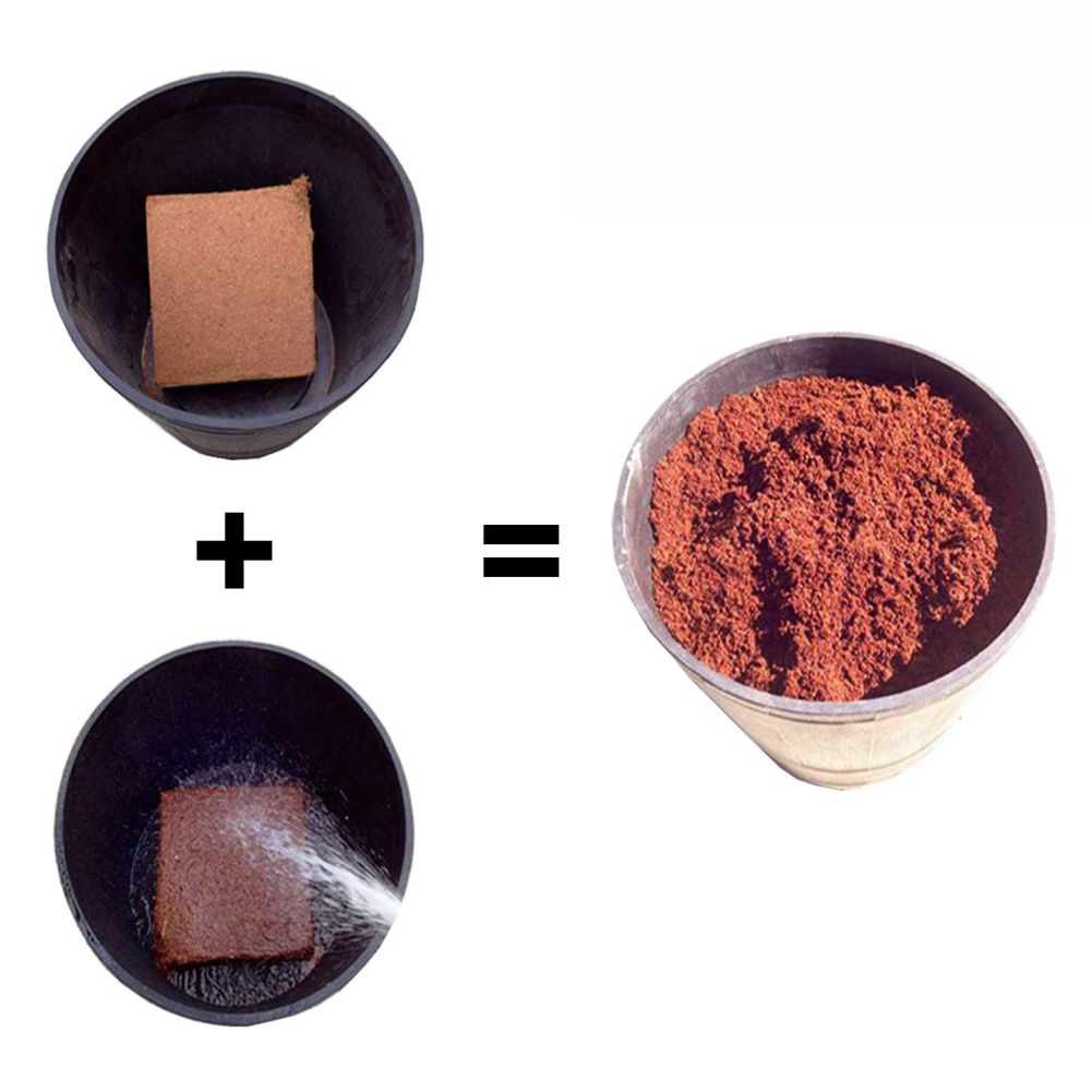 Cocopeat Blocks for Gardening, terrace garden, balcony garden, kitchen garden, soil conditioner