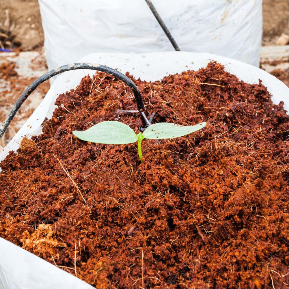 Cocopeat Blocks for Gardening, terrace garden, balcony garden, kitchen garden, soil conditioner