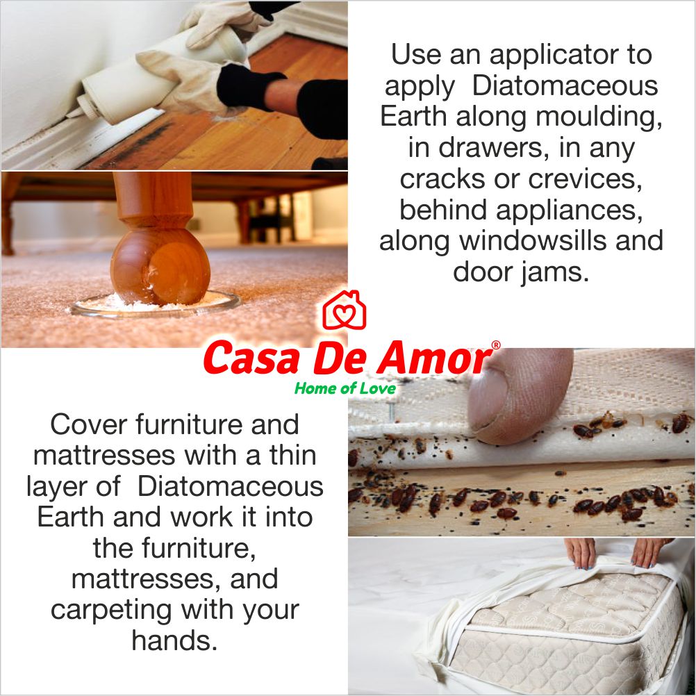 diatomaceous earth powder