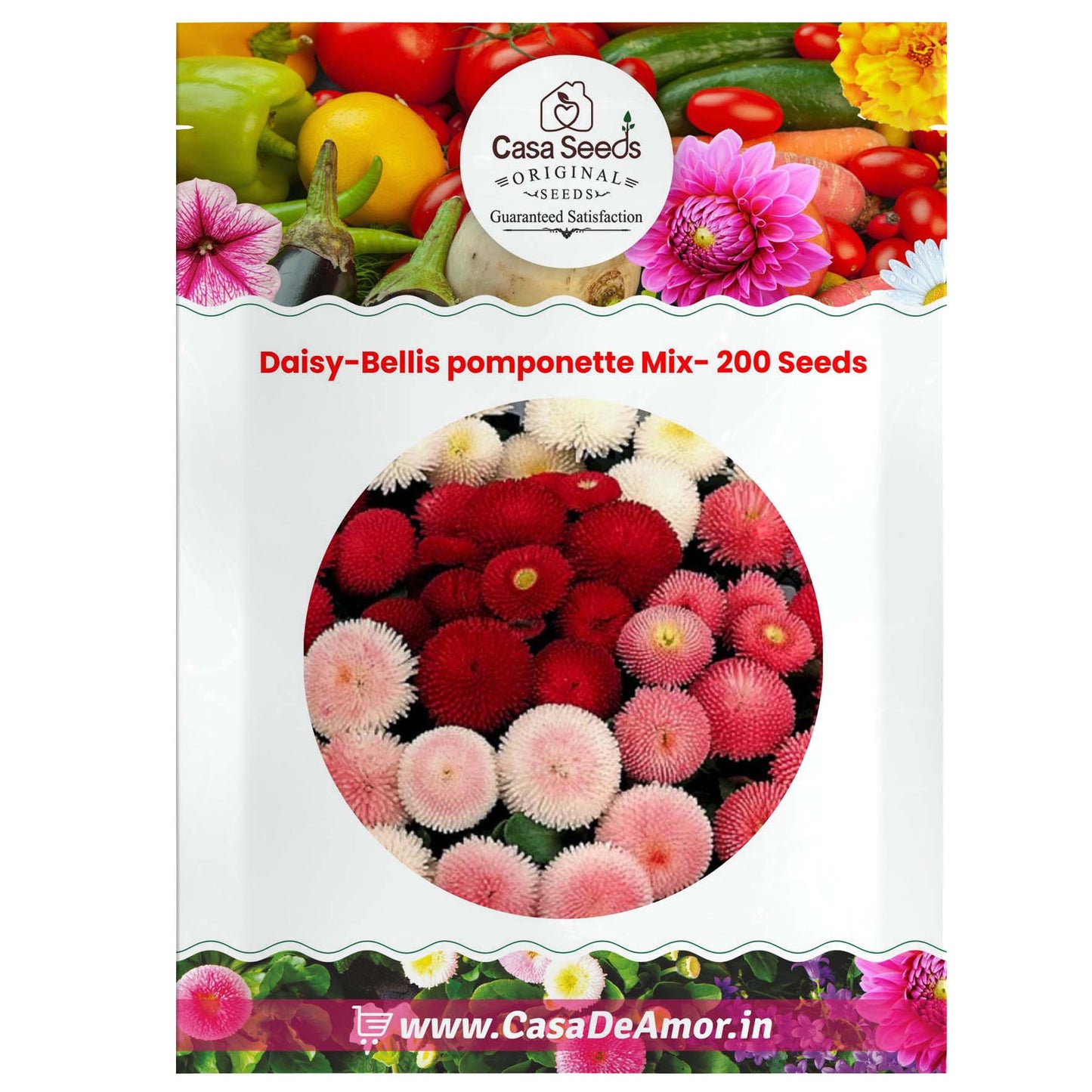 Daisy-Bellis pomponette Mix- 200 Seeds
