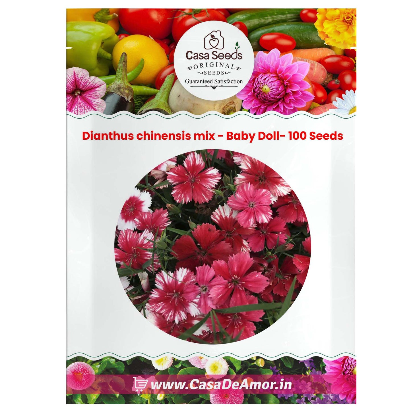 Dianthus chinensis mix - Baby Doll- 100 Seeds