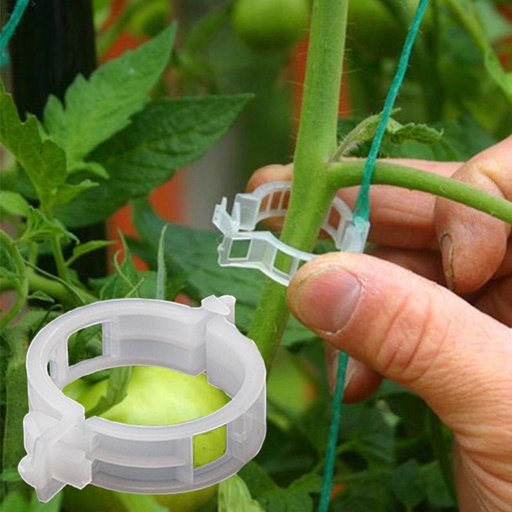 Bottle Gourd, Karela, Veggie Garden Plant Support Clips