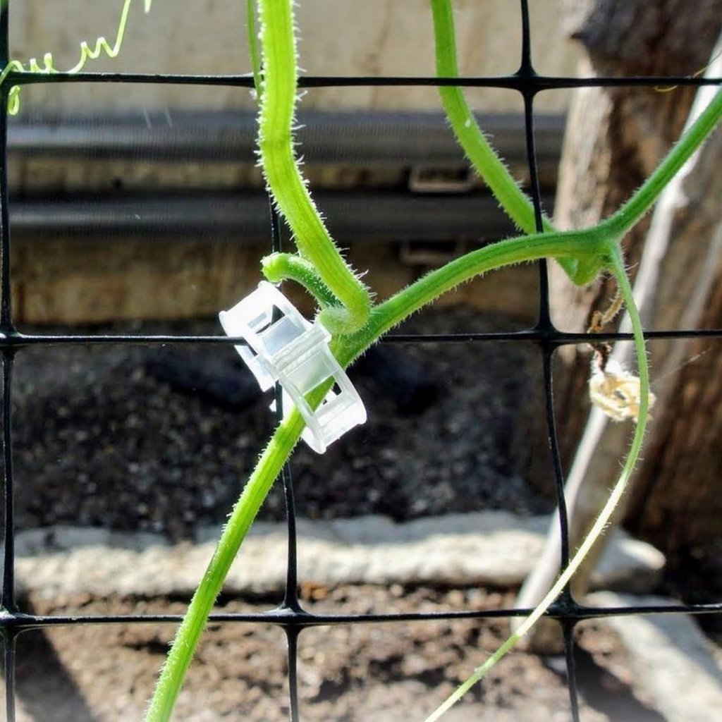 Plant Support Clips For Trellis Twine Greenhouse