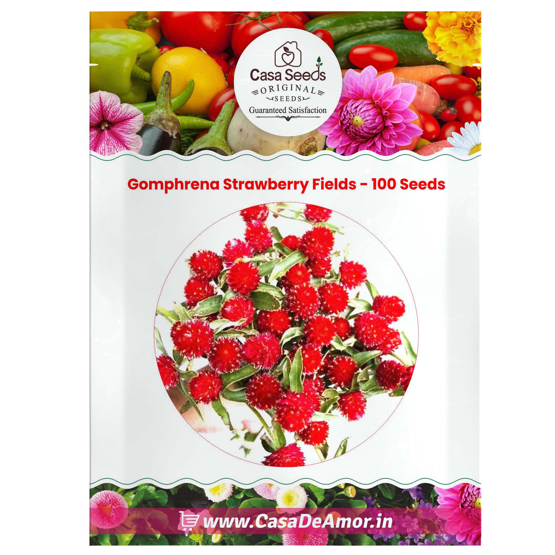 strawberry fields gomphrena seeds Gomphrena Strawberry Fields