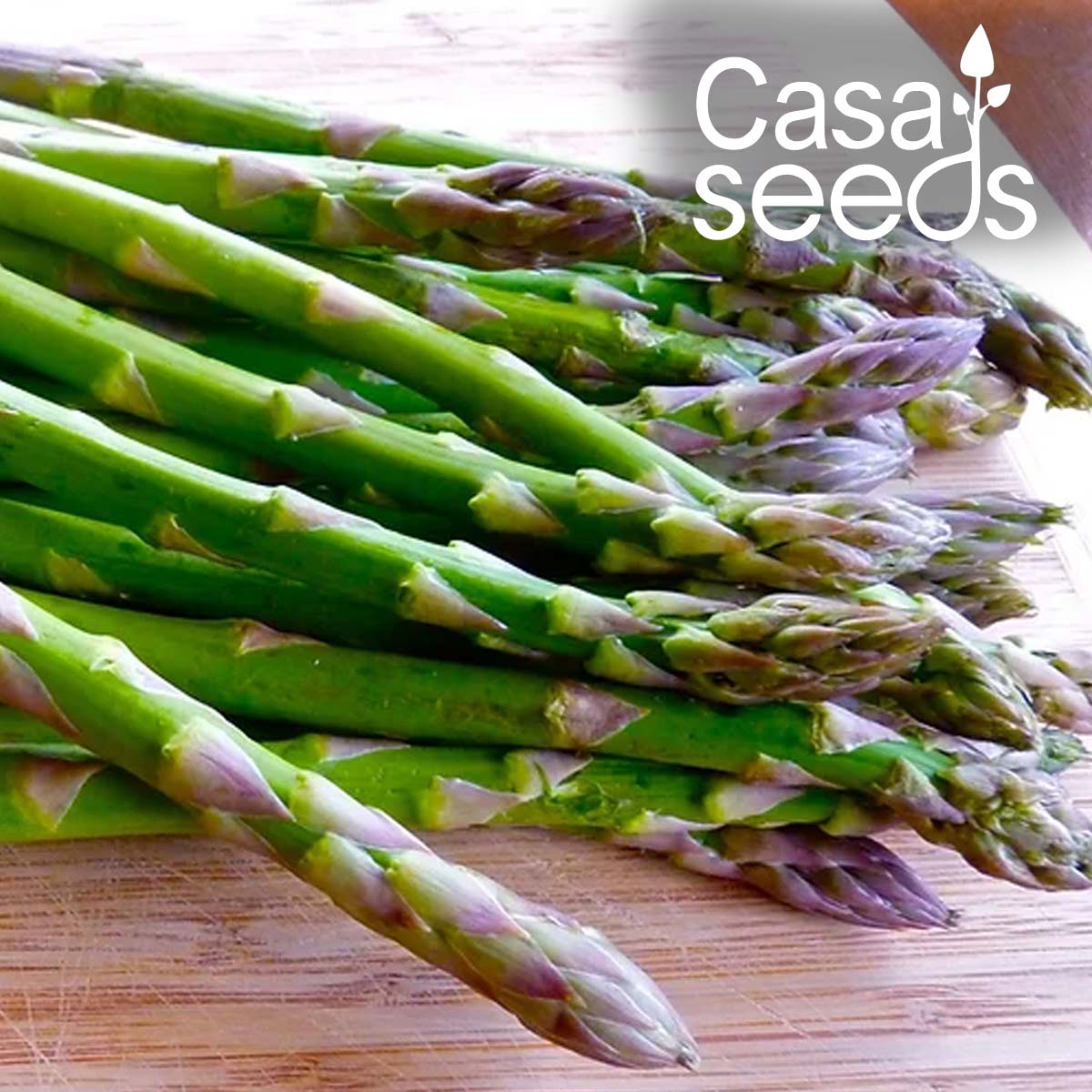 Herb Asparagus- 50 Seeds