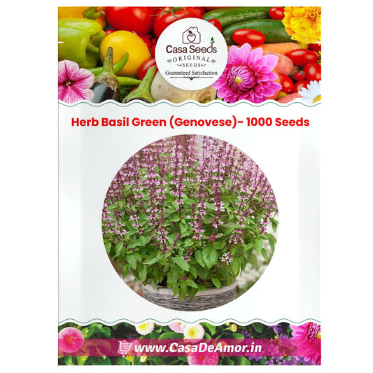 Herb Basil Green- 50 Seeds