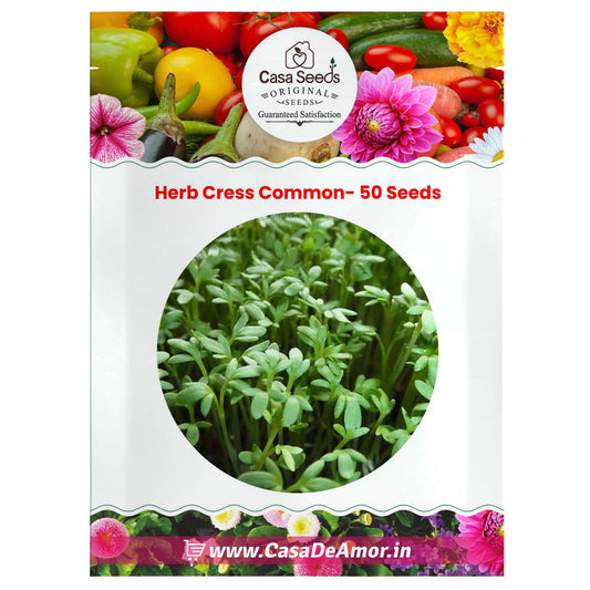 Herb Cress Common- 50 Seeds