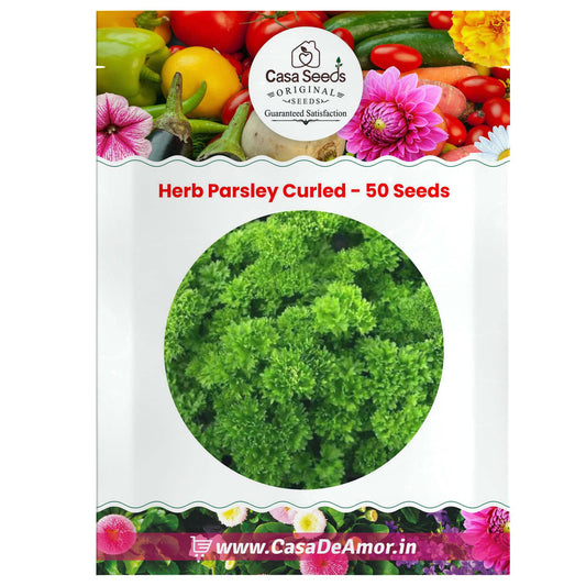 Herb Parsley Curled- 50 Seeds