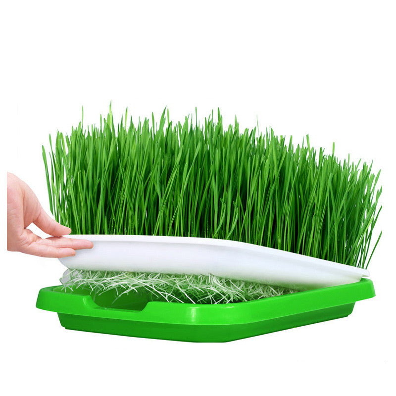 Durable Hydroponics Basket Nursery Tray Seed Nursery Pot Flower Plant Seed Germination Tray Grow Box Vegetable Seeding Tray Case - Casa De Amor Organic Gardening India