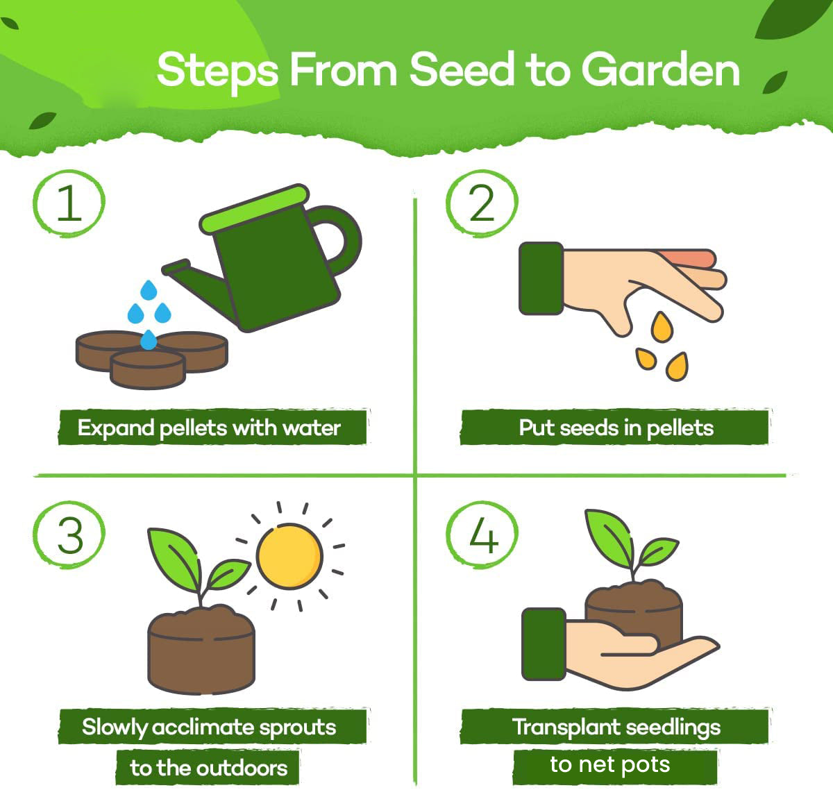 CasaFresh Hydroponics Kit for Home- 5 Plants, Beginners Hydroponic System- Reusable for Indoor/Outdoor hydroponics, Seeds Included