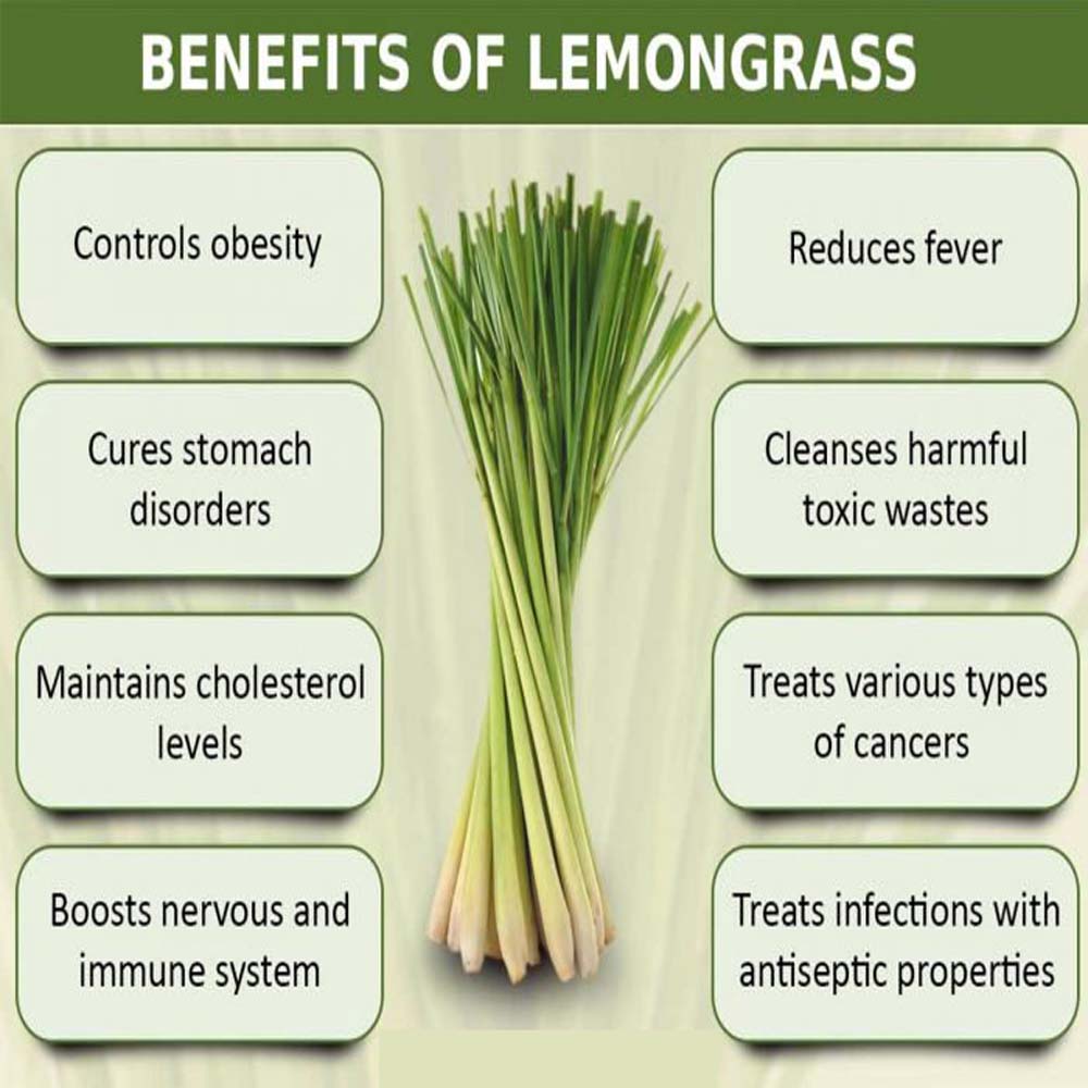 Casa De Amor Lemongrass Essential Oil, 100% Pure, 100ml, for Aromatherapy, Skin, Hair, Bath (15 ml)