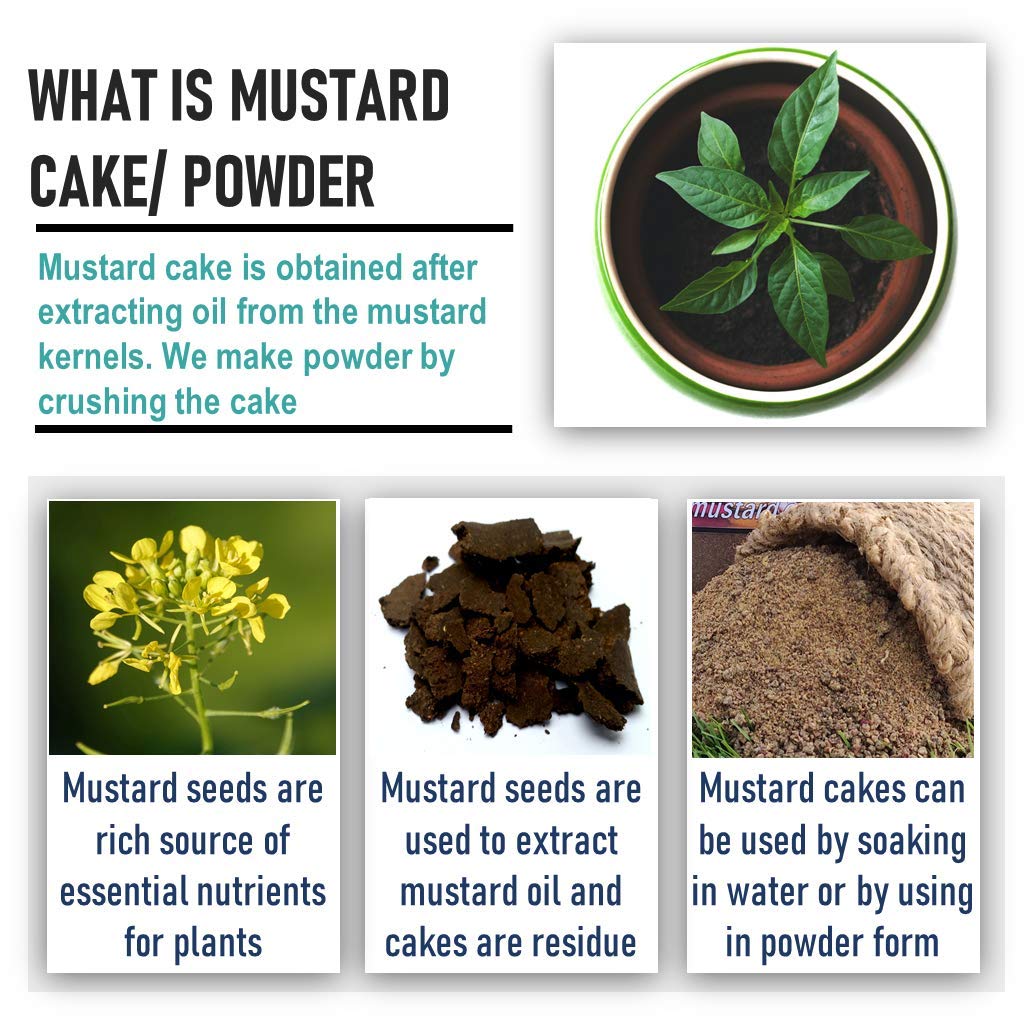 Casa De Amor Mustard Oil Cake Fertilizer for Plant Growth and Healthy Roots