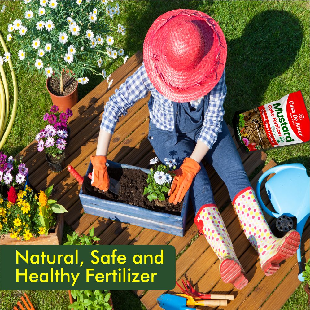 Casa De Amor Mustard Oil Cake Fertilizer for Plant Growth and Healthy Roots