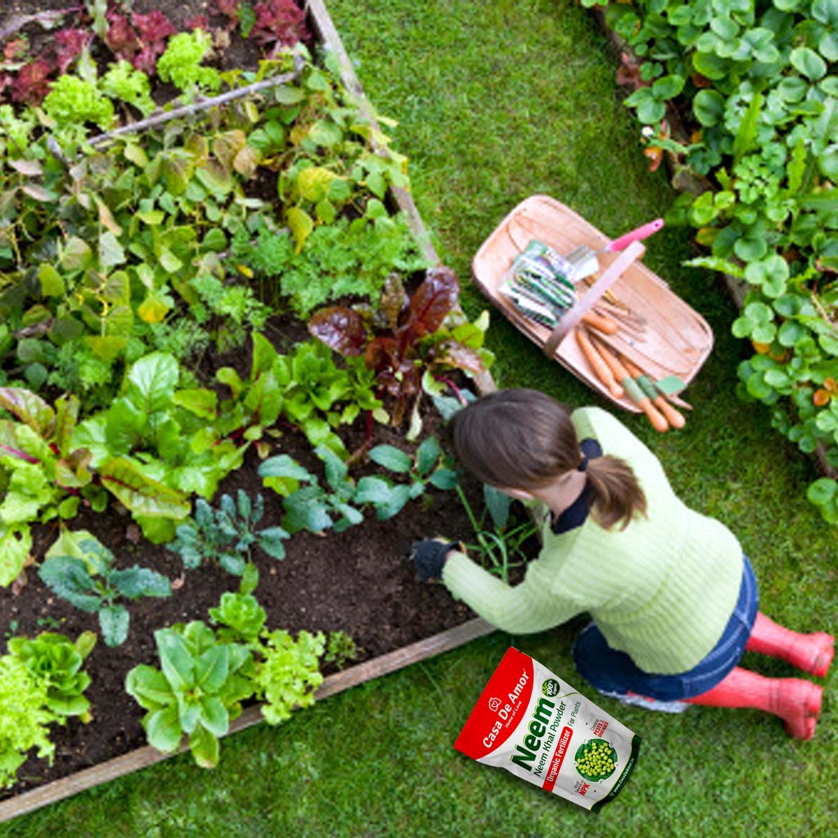Casa De Amor Neem Cake Powder Organic Fertilizer and Pest Repellent for Plants (Also Known Neem Khal Powder)