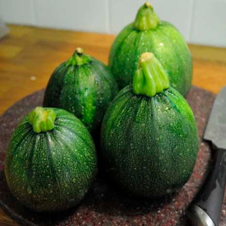 Squash Globe Round Green- 20 Seeds