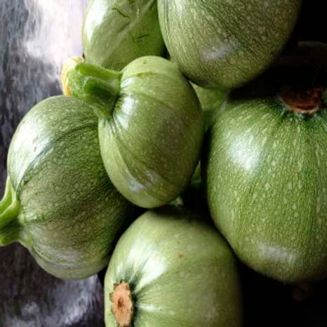 Squash Globe Round Green- 20 Seeds