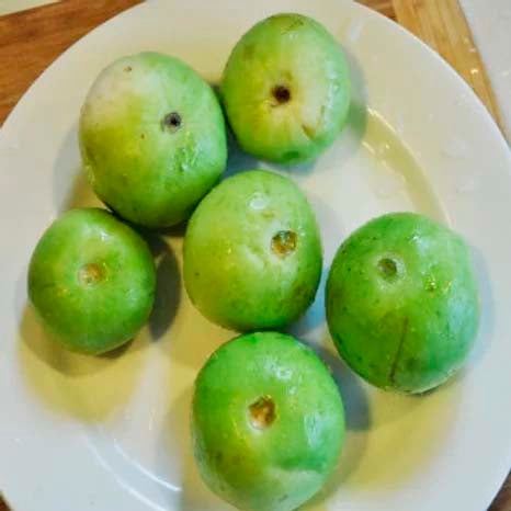 Tinda- 50 Seeds