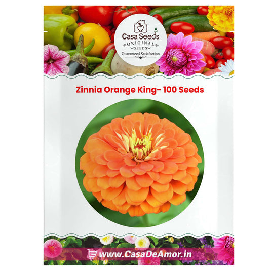 Zinnia Orange King- 100 Seeds