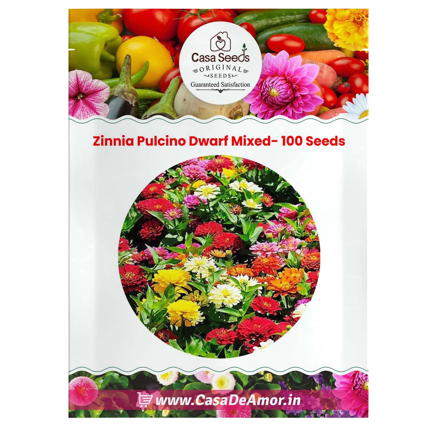 Zinnia Pulcino Dwarf Mixed- 50 Seeds