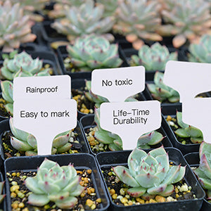 20 pcs/set Plastic Plant T-type Tags Markers Nursery Garden Decoration Grey 6 x10 cm