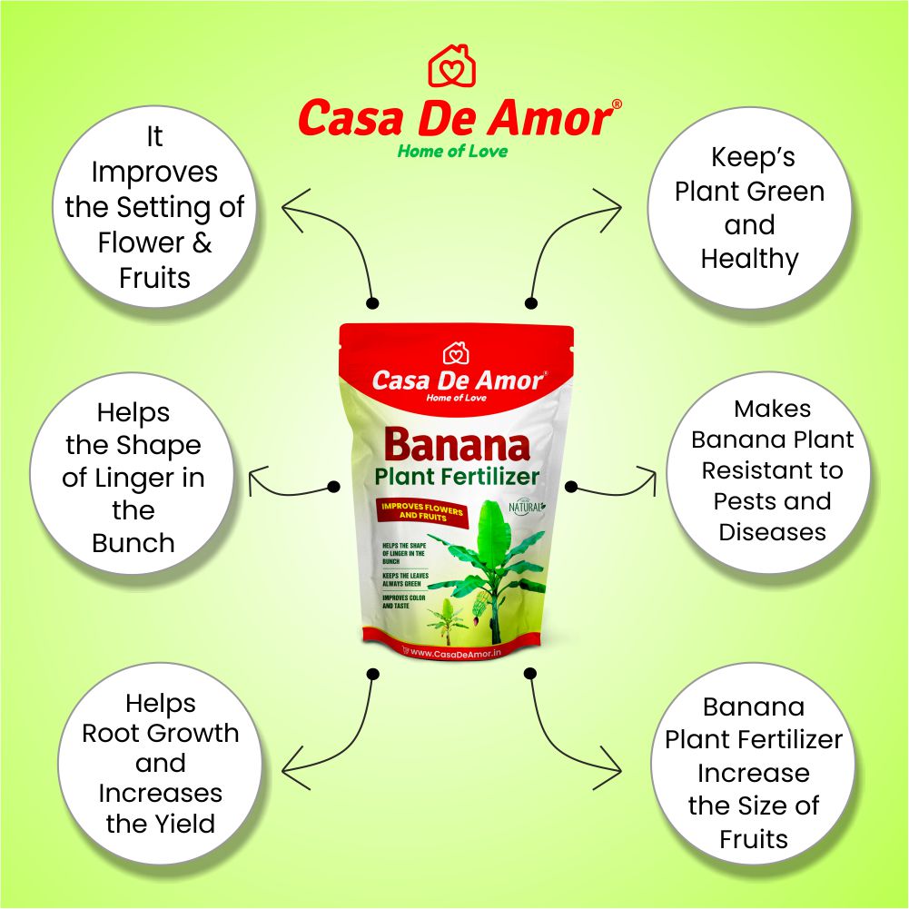 Casa De Amor Banana Plant Fertilizer, Plant Feeds & Growth Promoter for Banana Plants