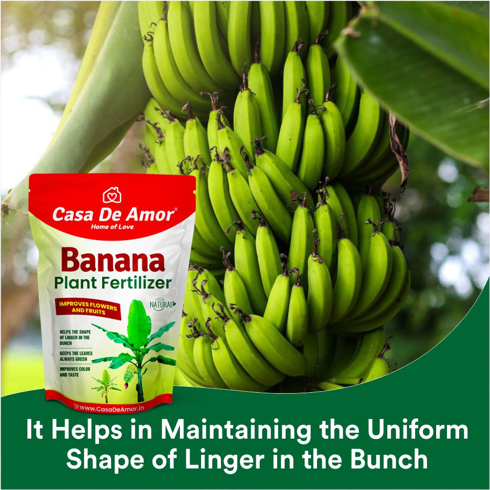 Casa De Amor Banana Plant Fertilizer, Plant Feeds & Growth Promoter for Banana Plants